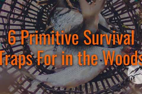 6 Primitive Survival Traps For in the Woods