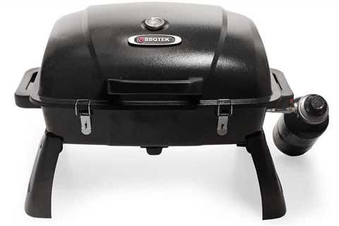 Great Portable Grills for RVers