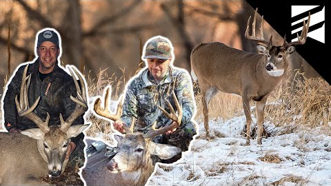 Top States To Kill A B&C Whitetail In 3 Years | We Asked 2 Bow Hunters Where They Would Go