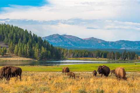 25 Amazing Campgrounds Near National Parks