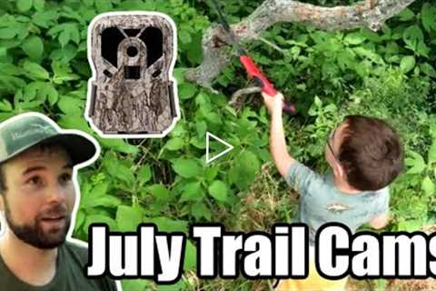 July Trail Cams in Hill Country Hubs and Small Parcels