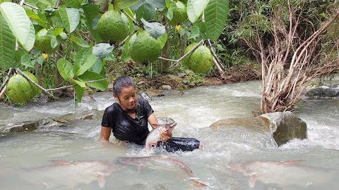 Catch fish by hand in river flow - Natural guava fruit with Salt chili for food in jungle