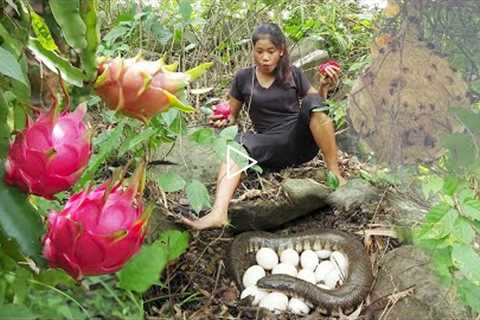 Pick snake egg end Dragon fruit for food in jungle - Grilled egg in the ground with chili sauce