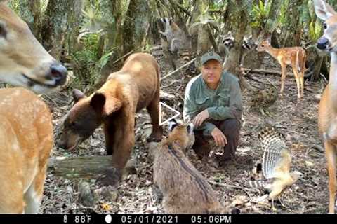 Tim Harrell - Swamp Trail Camera Pickup