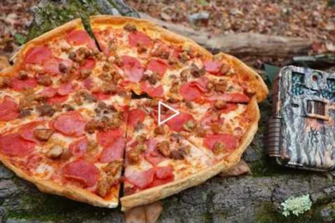 What Happens to a PIZZA Left in the Woods? (Trail Camera)