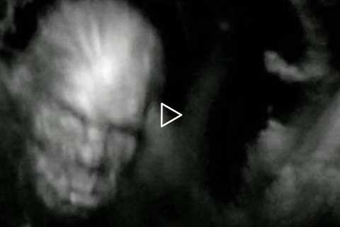 UNKNOWN FACE CAUGHT ON TRAIL-CAM!