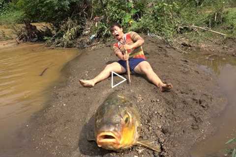 Survival skills, Catch a lot of fish in sand, found a lot of fish in the sand after the big flood