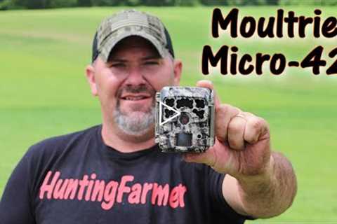 Moultrie Micro-42 world's smallest trail camera??? Review and Field Testing w/sample photos videos