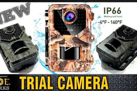 Cámara de Caza Visión Nocturna Sesern E2 Trail Camera - Unboxing y Review | JOE Works