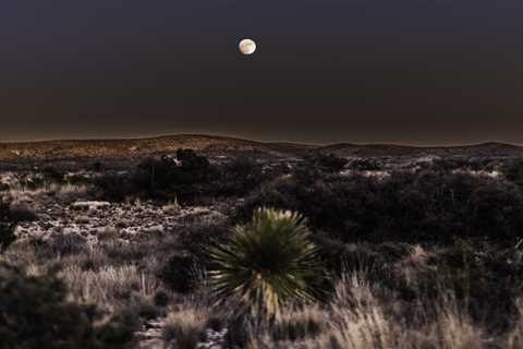 Make a New Mexico Escape to Bonnie & Clyde’s Getaway RV park