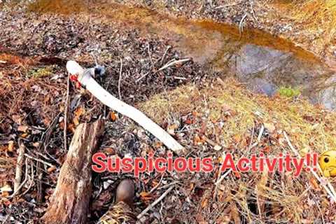 What Knocked The Trail Camera Over At Beaver DAM In The Middle!!?