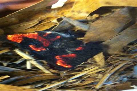 How to Make and Preserve Char Cloth