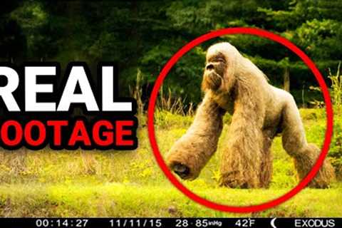 What This Trail Cam Captured SHOCKED the whole WORLD