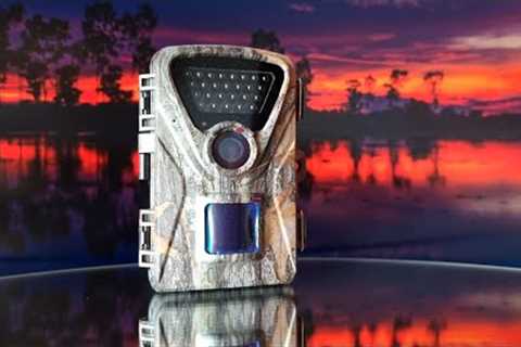 Garden Trail Camera | Before You Buy, WATCH THIS!