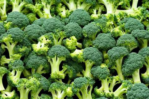 Discover Top Organic Broccoli Seed Suppliers for Sprouting Success