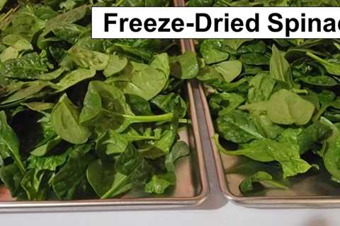 Freeze-Dried Spinach