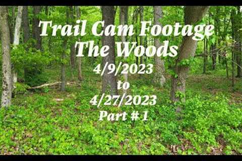 Trail Cam Footage, The Woods Part # 1