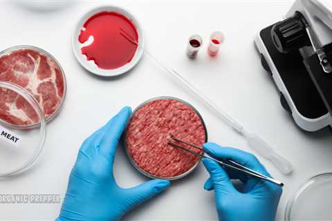 Lab-Grown “Meat” Is Coming to Stores and Restaurants Near You