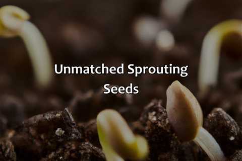 Unmatched Sprouting Seeds