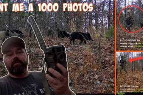 My “Stolen” Camera Started Sending Photos 8 Months After It Vanished