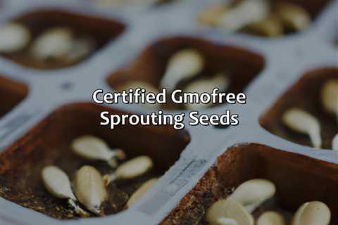 Certified Gmo-Free Sprouting Seeds