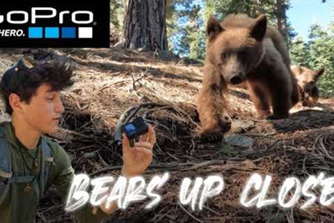 BEARS UP CLOSE! GOPRO Remote Camera System : Trail Cam Tuesday Episode 2