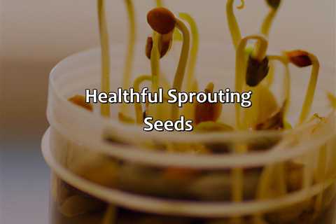 Healthful Sprouting Seeds