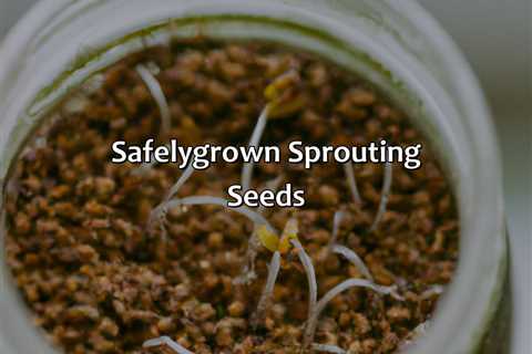 Safely-Grown Sprouting Seeds