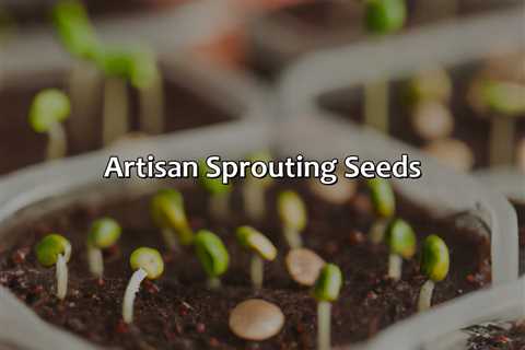 Artisan Sprouting Seeds