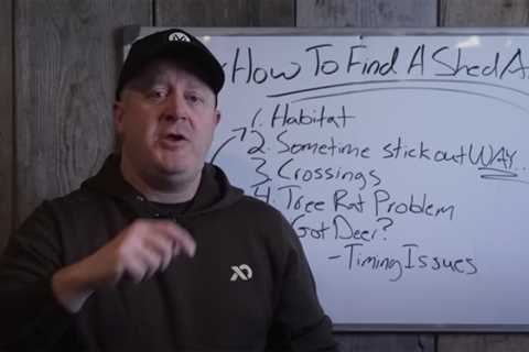 Jeff Sturgis Best Tips For Finding Sheds