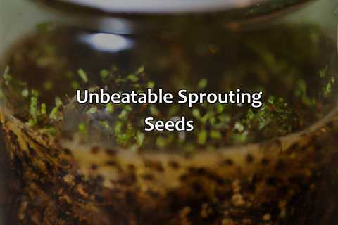 Unbeatable Sprouting Seeds