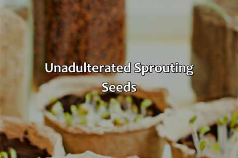 Unadulterated Sprouting Seeds