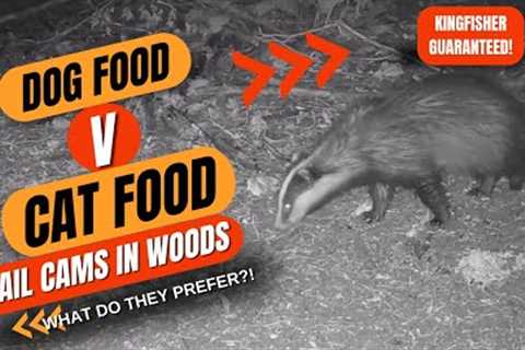 Animals Reaction: Cat Food V Dog Food  Left In The Woods