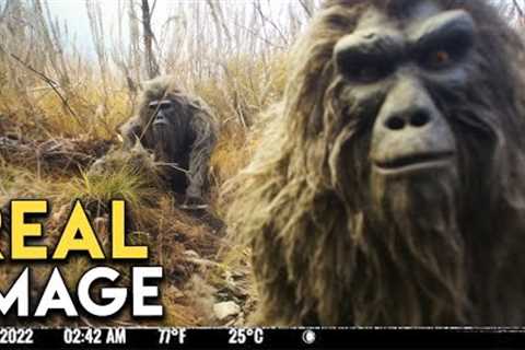 This Trail Cam Shows Why You Should Fear Forests