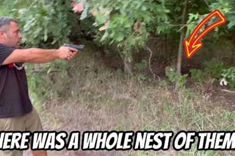 This Was Unexpected To find, Time To Put Out Trail Cameras.