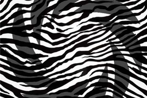 Zebra Stripe Stencil Pack