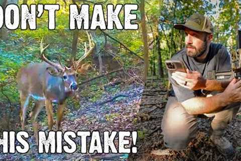 Don''t make this mistake! Scouting before you hunt - Trail Camera Tips
