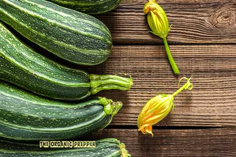 14 Delicious Things To Do With All That Zucchini