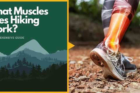 What Muscles Does Hiking Work? A Comprehensive Guide