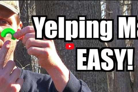 Learn How To Yelp Right