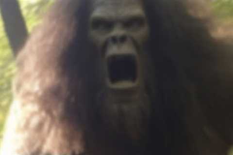 Clearest and Most Terrifying Trail Cam Footage Released