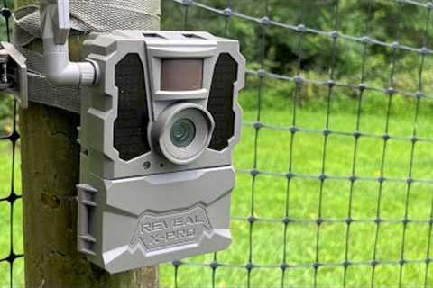 Review: Tactacam Reveal X Pro - What''s NOT in the manual!