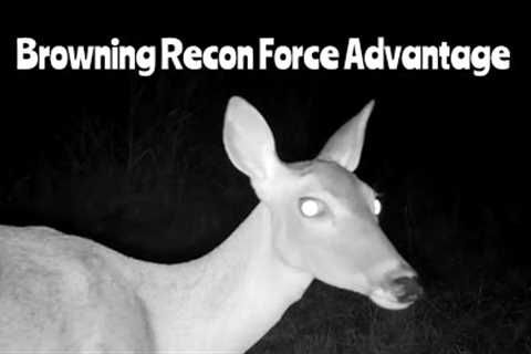 Browning Recon Force Advantage Trail Cam: Aug. 26- Sept. 13, 2023, 2023