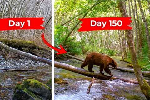 150 Days Of Wildlife Captured On My Trail Camera