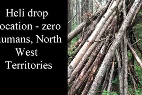 IMPORTANT *NEW* 3/18/2023 Forestry Professionals Coming Clean With Sasquatch And More (vid included)