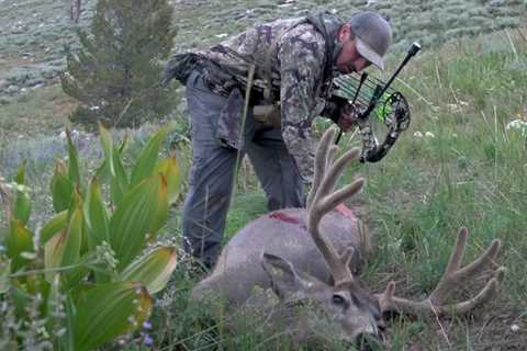 Velvet Mule Deer Bowhunt