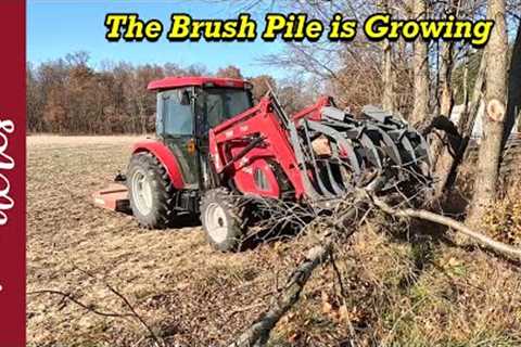 Creating a One Huge Brush Pile.  Starting to clear another Fence Line