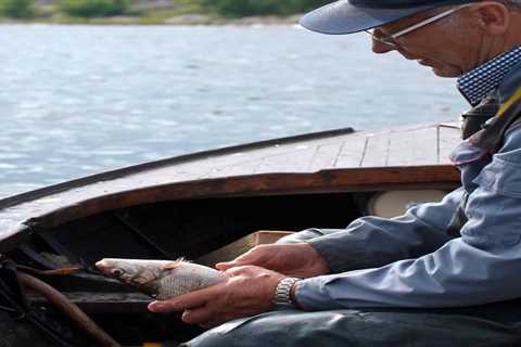 So, Can You Eat Rock Bass for Survival?