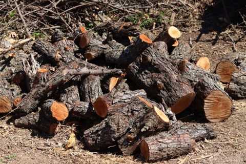 So, What’s the Standard Firewood Length?