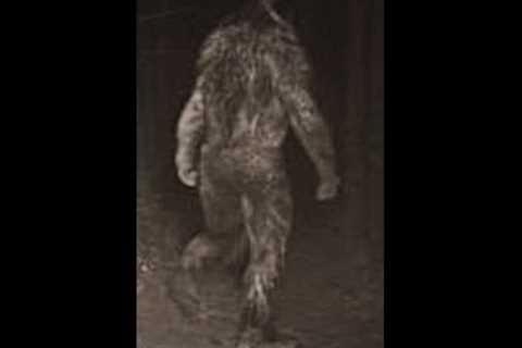 THIS INSANE CREEPY TRAIL CAM PHOTOS IS MAKING EVERYONE SCARED ON THE INTERNET!!